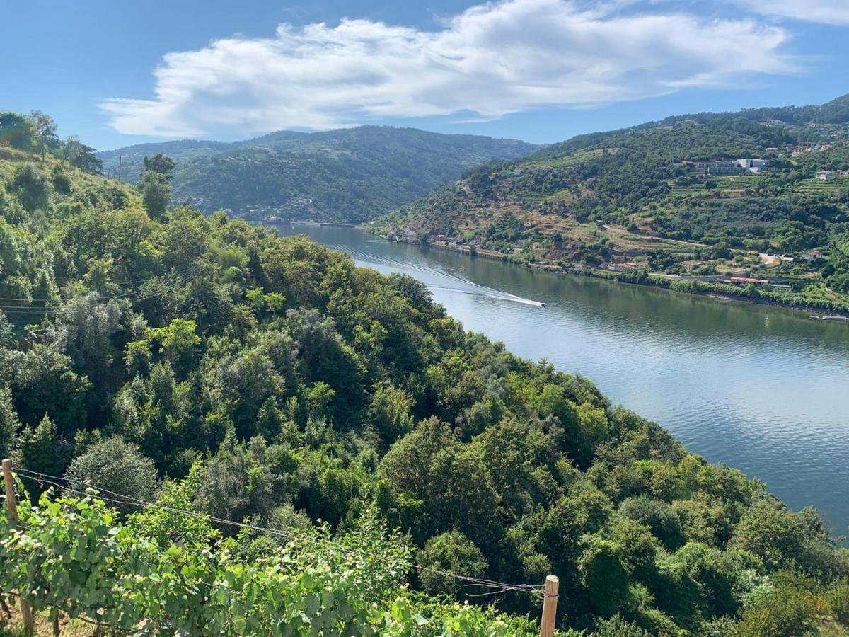 Douro Nest Houses Калдас де Арегос Екстериор снимка